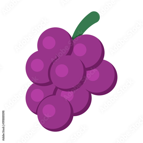 Bunch of grapes with leaves vector. Natural fruit, vineyard harvest, healthy nutrition and antioxidant food concept illustration.