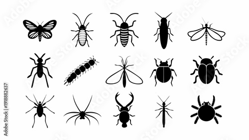A collection of insects and arachnids in various silhouettes displayed against a clean background from a straightforward viewpoint