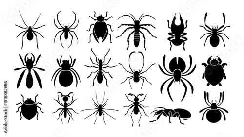 Collection of various black spider silhouettes on a plain white background from a direct viewpoint