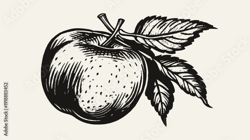 Vintage monochrome illustration of a detailed apple fruit with leaves