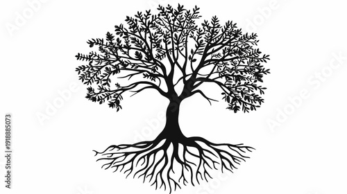 Silhouette of a majestic tree with root system against a white background
