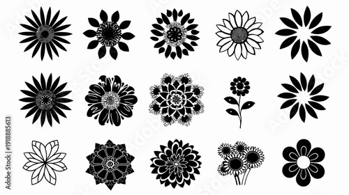 Black and white floral design elements in various graphic styles