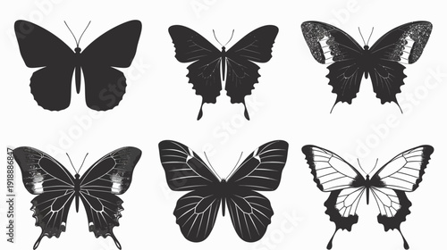 Black and white butterfly illustrations collection isolated on white background