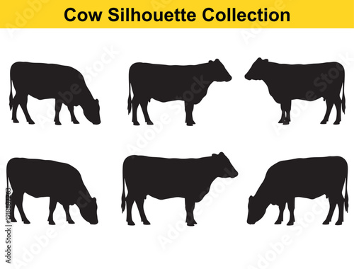 Cows silhouette collection with various grazing positions and profiles, black on white background, vector graphics featuring silhouettes, livestock, cattle with farm and animals elements for