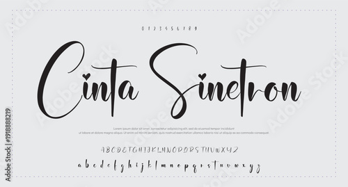 Script Brush Font Type Font lettering handwritten  