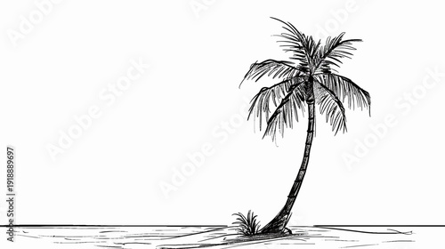 Ink drawing of a solitary palm tree on a white backdrop illustration