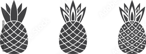 Modern Tropical Pineapple Vector Set – Minimal Geometric Fruit Illustration Collection with Decorative Patterns, Stylish Silhouette Design for Logo, Branding, Textile Print, Summer Graphics