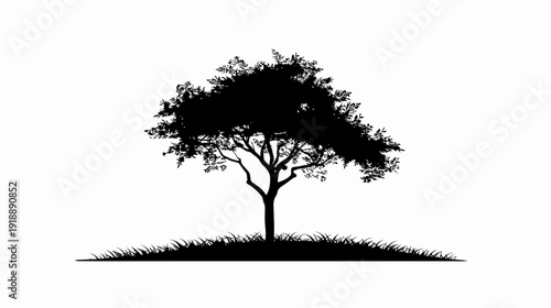 Silhouette of a tree against a white background ideal for conceptual designs