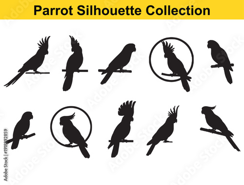 Parrots silhouette collection set with black birds perched on branches and circles featuring parrot, cockatoo, macaw with parakeet and birdwatching elements for wildlife, animal projects, clean