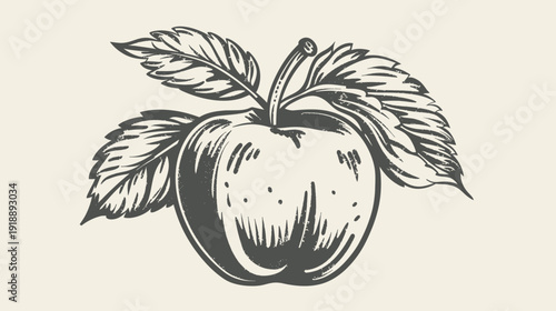 Vintage apple illustration with leaves in detailed monochrome style