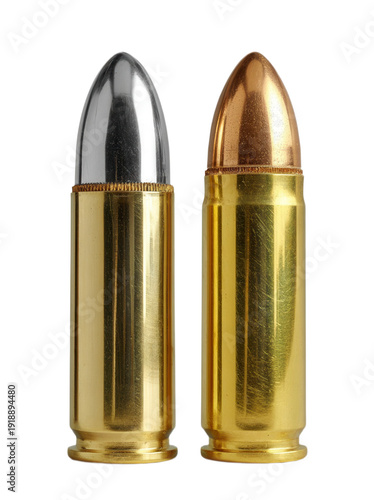 Wallpaper Mural Two rifle cartridges are arranged side by side on a bright transparent background. One has a shiny silver casing, the other a gold brass casing. Both feature pointed copper projectiles. Torontodigital.ca