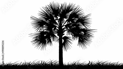 Silhouette of a palm tree on white background suitable for various design projects