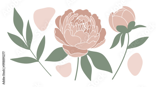 Elegant botanical illustration featuring delicate pink peonies in full bloom and bud, accompanied by graceful green leaves and abstract shapes, perfect for sophisticated design projects.