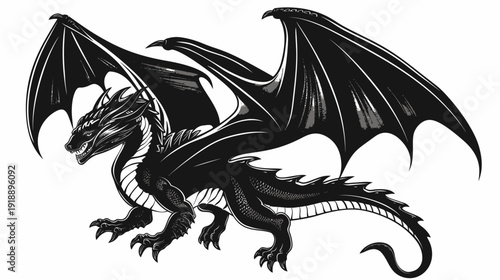 Black dragon illustration with extended wings on white background