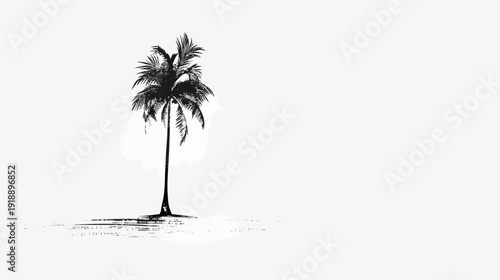 Black and white palm tree silhouette against a clean white background
