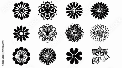 Black and white floral patterns vector collection of decorative flower designs