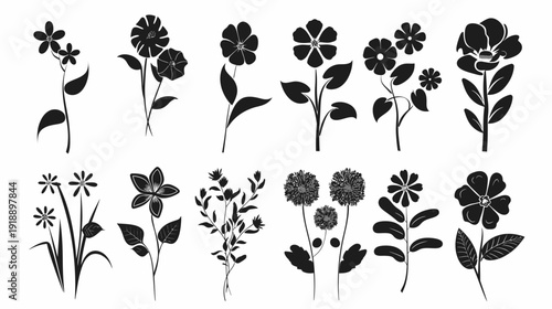 Black and white flower illustrations collection various shapes and styles