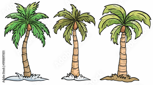 Cartoon palm trees tropical illustration for design and backgrounds