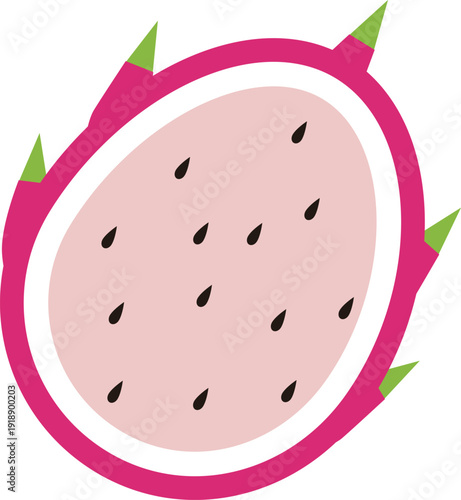 フレッシュなドラゴンフルーツの断面イラスト