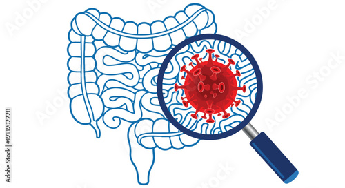 Human Intestines with Red Virus Under Magnifying Glass Vector Illustration