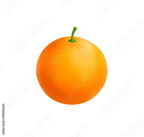 Fresh Orange Isolated on Light Background