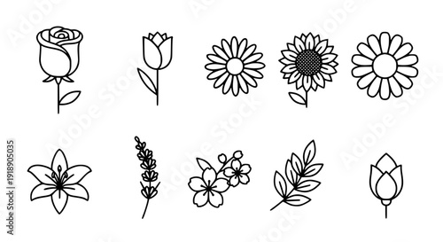Flowers flat line icon set black vector