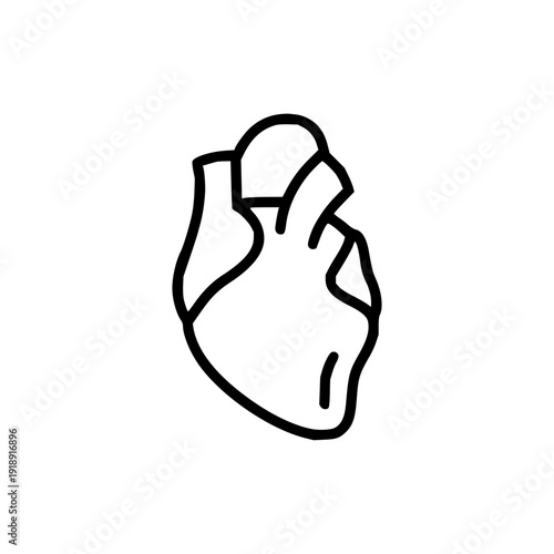 Human heart line icon, anatomical symbol of cardiology and essential health, perfect for medical illustrations and wellness designs, representing vital organ function