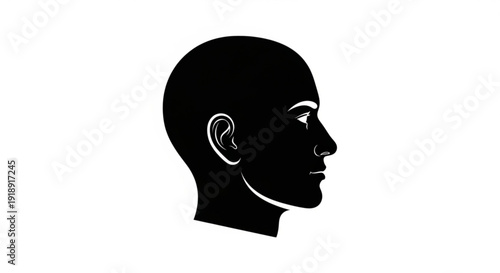 Silhouette of a person's head in profile showing facial features and hairless head against a clean white background
