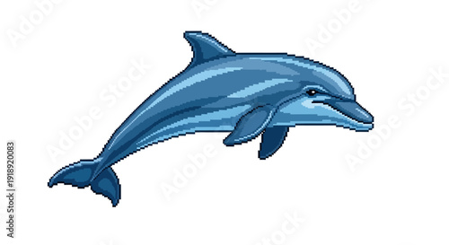 Dolphin Jumping In Ocean.