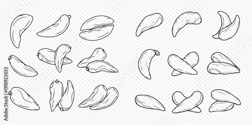 Hand drawn cashew nuts and pistachio nuts set. Healthy snack food illustration.