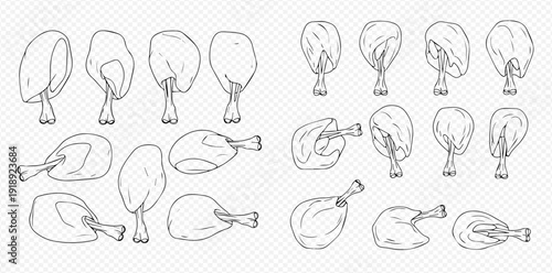 Set of raw chicken legs and drumsticks in various positions, hand-drawn sketch illustration.