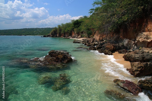 Tropical Azure Sea with Rocky Shoreline Under Bright Sunlight and Coastal Vegetation in Clear Weather