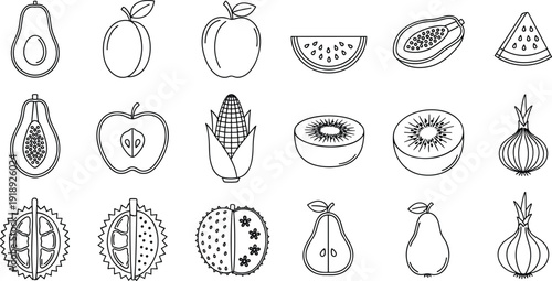 Hand drawn fruit and vegetable outline collection with avocado apple kiwi corn and onion vector illustration set