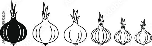 Hand drawn onion outline collection in vintage engraving style black and white vegetable vector illustration set