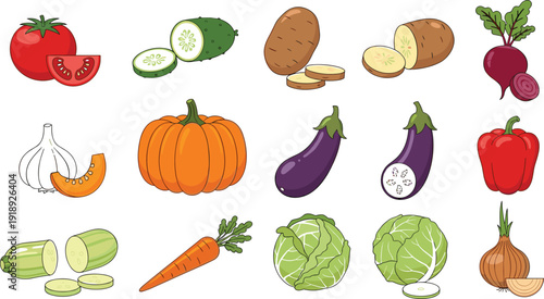 Hand drawn fresh vegetables collection with tomato pumpkin eggplant cabbage carrot and garlic vector food illustration set