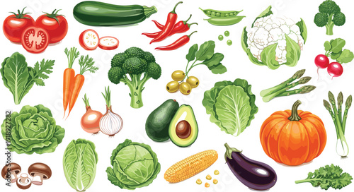 Fresh organic vegetables collection with tomato broccoli avocado pumpkin eggplant and greens hand drawn vector illustration set