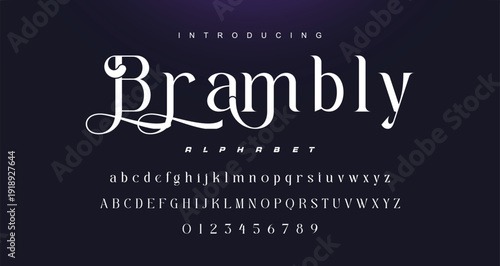 Typography beauty fashion elegant minimalist serif italic fonts decorative wedding vintage retro logos. Minimal luxury font alphabet logo. Vector illustration.