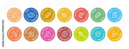 Isolated Vector Logo Set Badge Ingredient Warning Label. Cheerful and colorful Allergens icons. Food Intolerance. The 14 allergens required to declare written in english and spanish