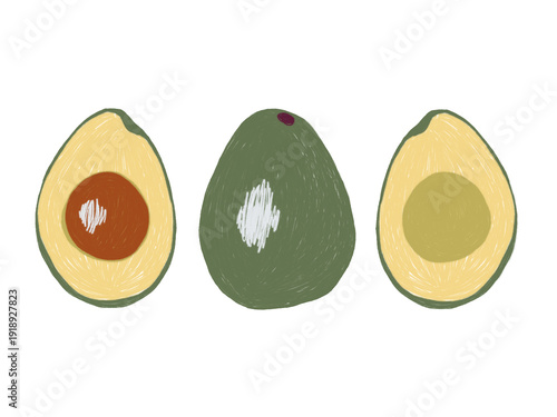 Avocado fruit set whole and sliced minimal hand drawn illustration isolated on white background