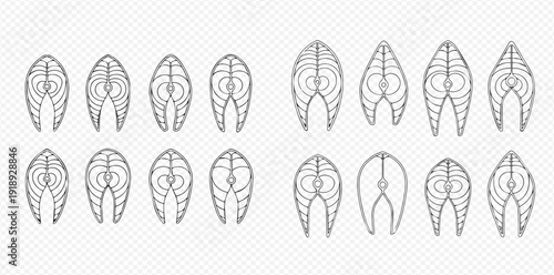 Salmon steak slices outline set on transparent background, fresh fish cut vector illustration.