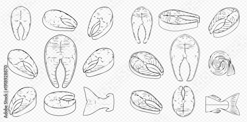 Set of hand-drawn fish steaks and fillets, perfect for culinary and food-related designs.