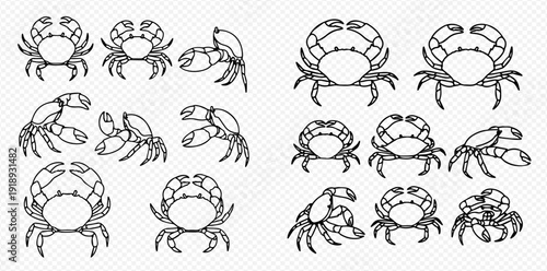 Set of various black and white crab illustrations in different poses.