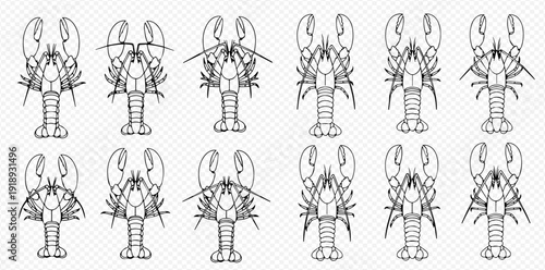 Set of black and white line art drawings of lobsters, crawfish, and crayfish on a transparent background.