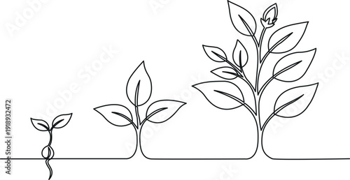 Line art illustration depicting the stages of plant growth from seed