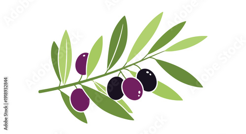 Olive branch with ripe olives a simple colorful illustration