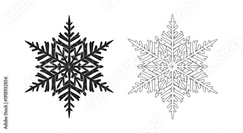 Detailed illustrations of two six pointed snowflakes one dark and one light