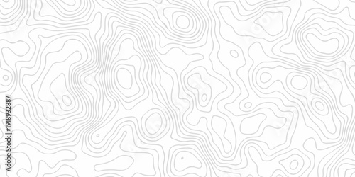 Abstract discovery topographic map banner texture background. Contour abstract map relief land outline. Topographic map patterns. White wave paper curved relief abstract background. Seamless topo line