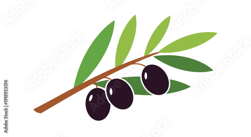 A sprig of olive with dark ripe olives on a brown branch