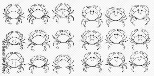 Set of outline crab illustrations, perfect for seafood menus or marine-themed designs.