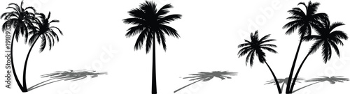 Palm tree silhouette illustration set, tropical beach landscape elements, coconut palm shadows, exotic island nature design, summer paradise artwork